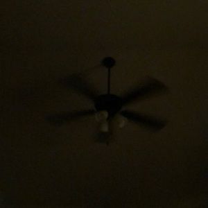 Meet your Posher, Cassandra